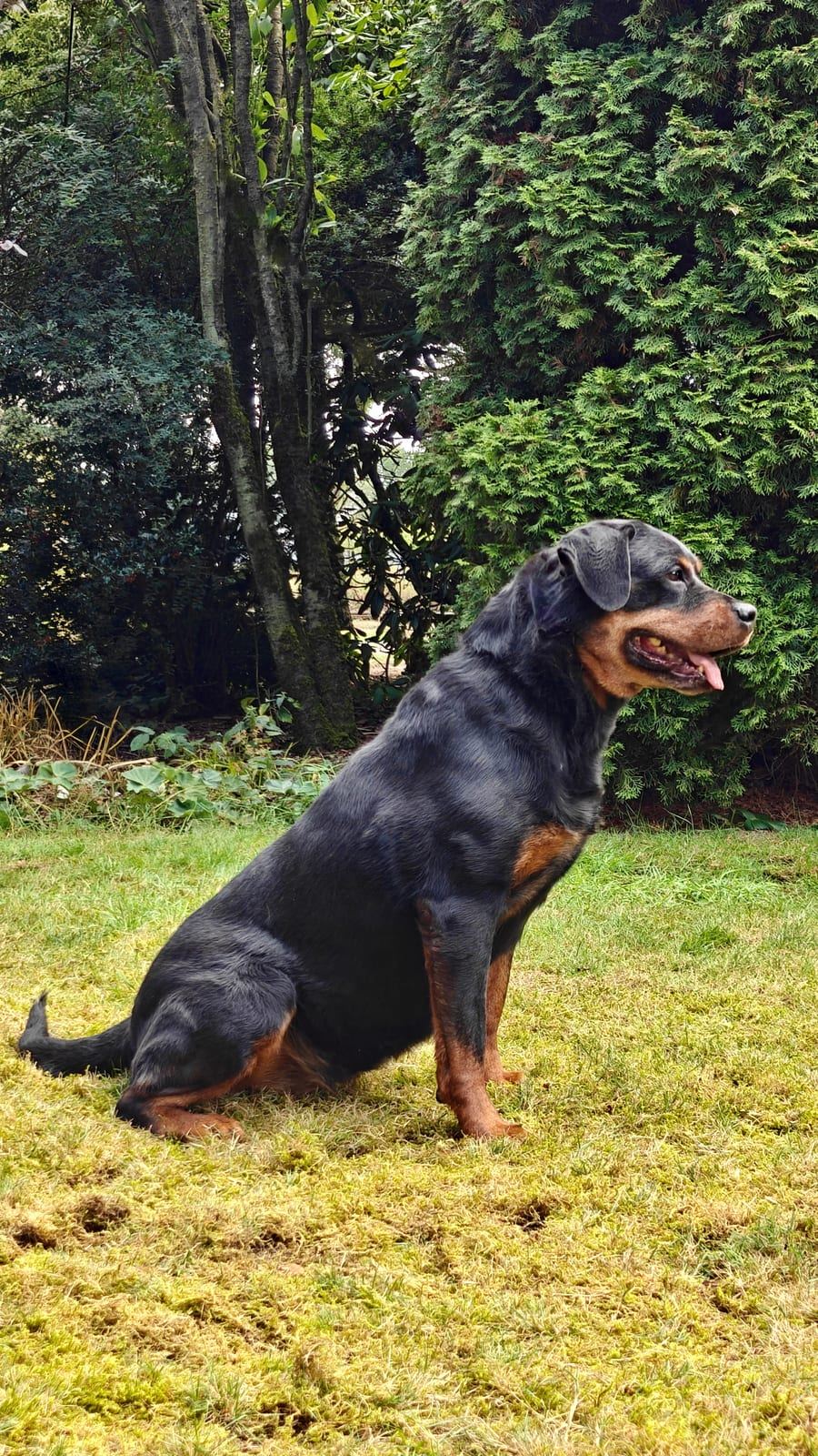 Ilvy im Sitzen.