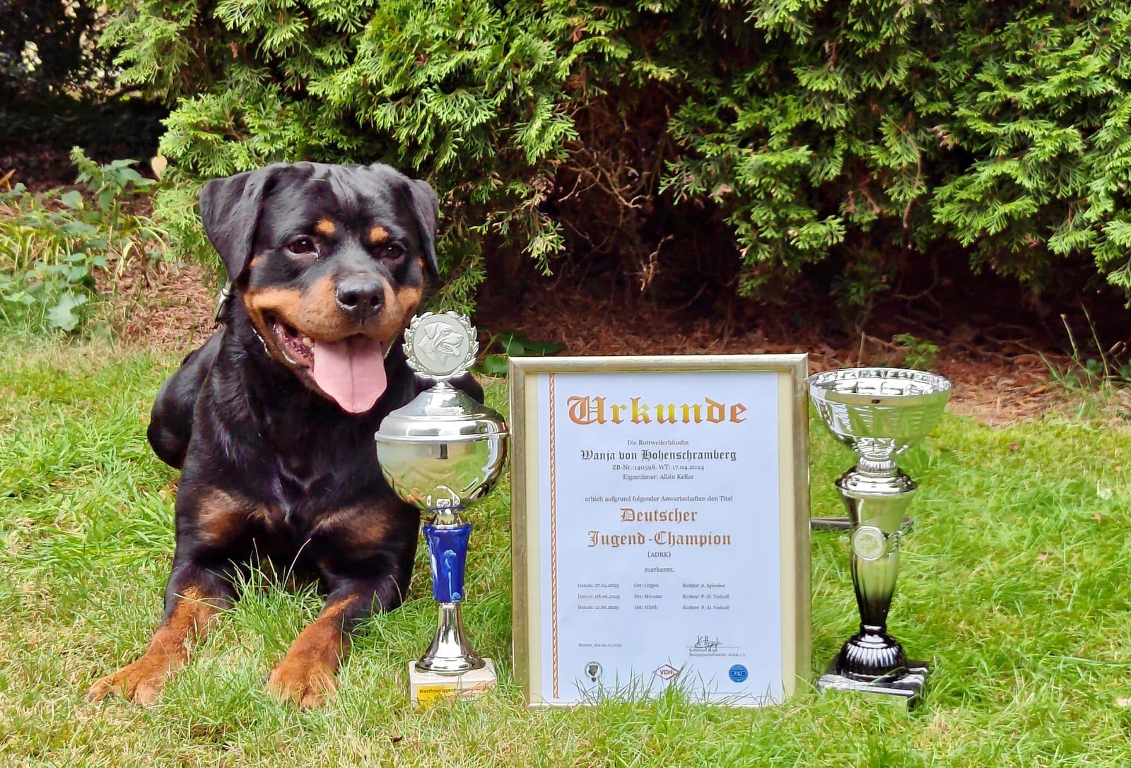 Wanja mit den Pokalen und der Urkunde zum Deutschen Jugend-Champion des ADRK.